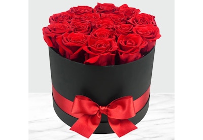 16-Stem Forever Roses