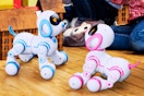 Blue and Pink Contixo Smart Puppy toys (close up lifestyle image)