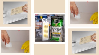 amazon indoor insect traps 2022 1653572409 1653572409