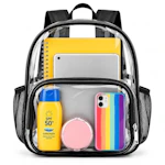 Small Clear Backpack