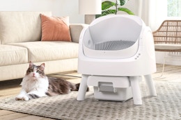 Lifestyle image of the PetPivot Automatic Cat Litter Box in a home setting with a cat laying on the ground next to it