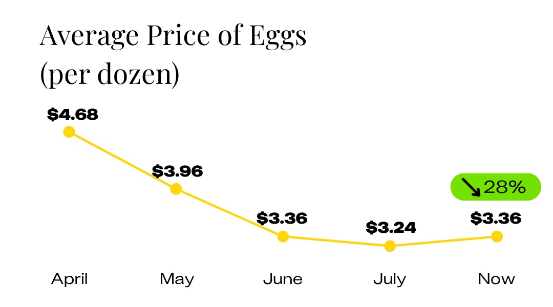 Average Price of Eggs Since April