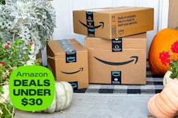amazon deals under $30