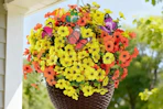 orange yellow flowers in a basket