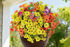 orange yellow flowers in a basket