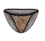 10 Victoria's Secret Panties