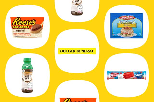 Dollar General Penny List: Tons of Refrigerated and Frozen Foods for $0.01 card image