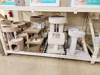 cat trees