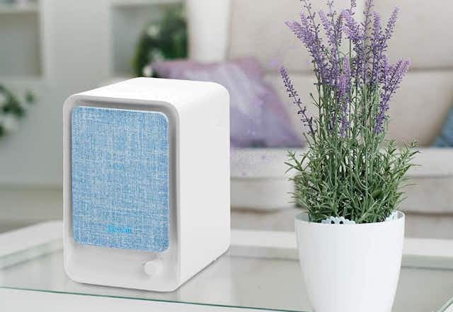 Air Purifier Drops to Just $29.96 on Amazon card image