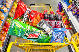 dollar general groceries in yellow shopping cart