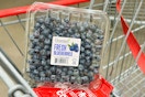 costco-blueberries