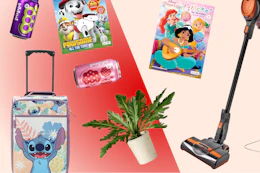 Poppi soda, Disney Stitch luggage, Shark vacuum, Threshold faux plant, Paw Patrol coloring book