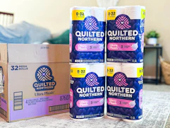 amazon-quilted-northern-toilet paper-B0BTDQLMGV