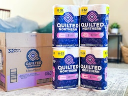 amazon-quilted-northern-toilet paper-B0BTDQLMGV