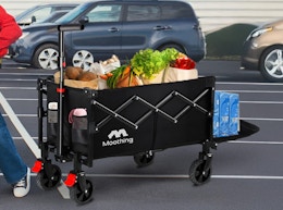 Collapsible Wagon, Only $28.49 on Amazon card image