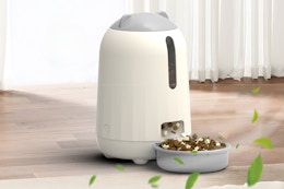 Smart Automatic Cat Feeder, Now Only $20.71 After Amazon Coupon card image