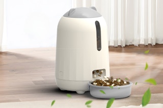Smart Automatic Cat Feeder