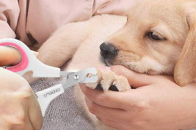 Pet Nail Clippers, Only $3.99 on Amazon card image