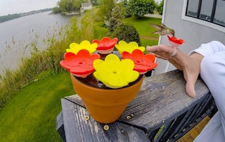 amazon hummingbird ring 2022 2 1649427302 1649427302