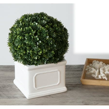 Better Homes & Gardens Boxwood Plant