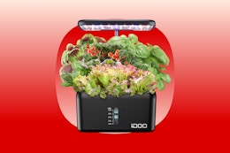 Hydroponic Growing System, $70 Online at Walmart.com (Reg. $110) card image