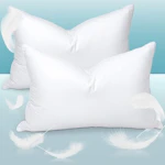 Goose Down Pillows 2-Pack