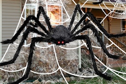 a giant spider on a web