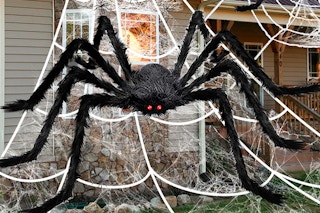 a giant spider on a web