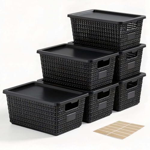 Storage Bins with Lids