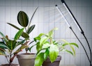 a plant grow light over potted plants 