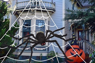 spider web decoration-amazon