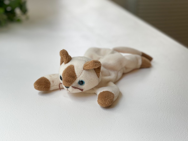 A Snip the Cat beanie baby sitting on a white table.