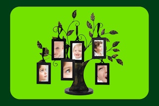 A bronze tabletop tree has space to hang six small portrait pictures in frames.
