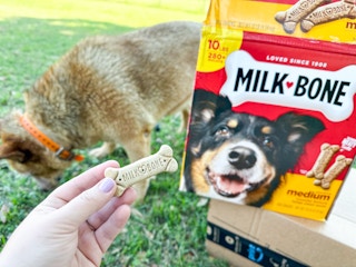 amazon-pet-day-milk-bone-dog-treats-18