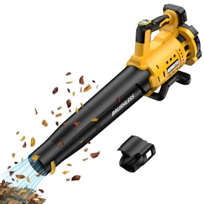 Cordless Leaf Blower