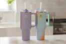 scheels-stanley-tumbler