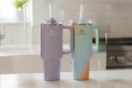 scheels-stanley-tumbler