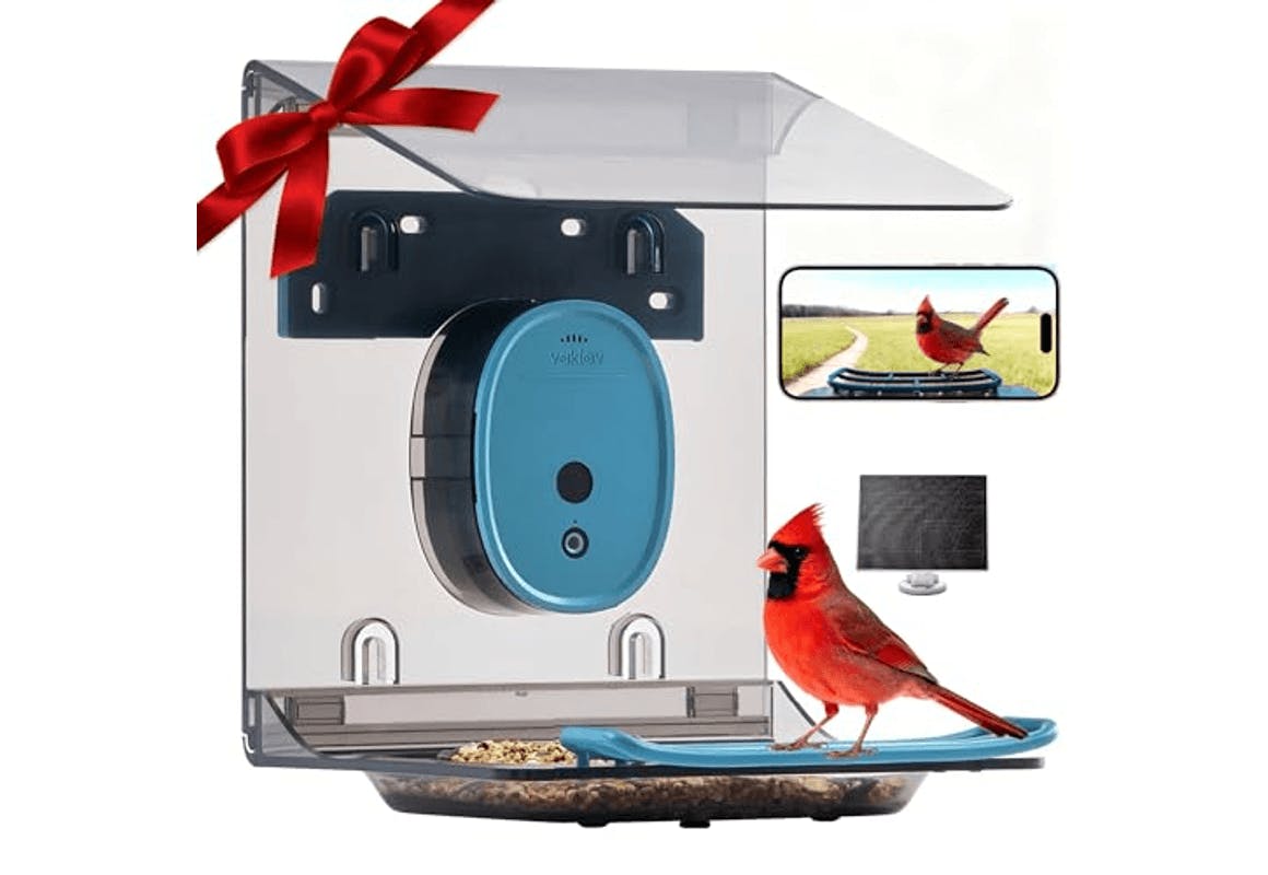 Smart Bird Feeder With Camera