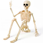 JOYIN Halloween Skeleton