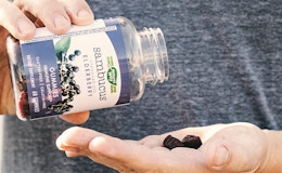 Elderberry Immune Support Gummies 60-Count, as Low as $9 on Amazon (Reg. $20)