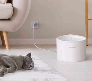 cat layer on the floor next to a mini water fountain