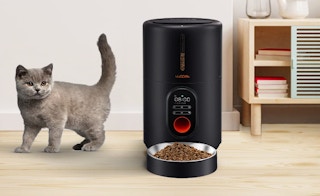 amazon cat feederjpg 1678981171 1678981171