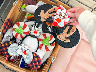 petco-clearance-deals-disney-ears