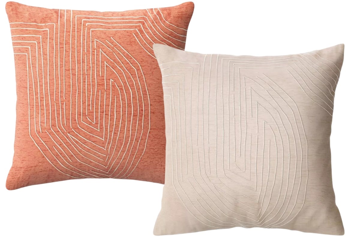 Thrreshold Oversized Embroidered Velvet Pillows