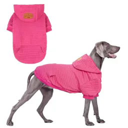 Dog Hoodie