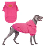 Dog Hoodie