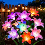 Solar Flower Lights 4-Pack