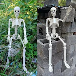 Posable Mini Skeleton