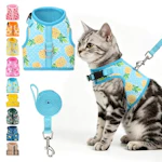 Cat Harness and Leash Set