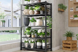 amazon 5-Tier Storage Shelves B0DT9RCZKN